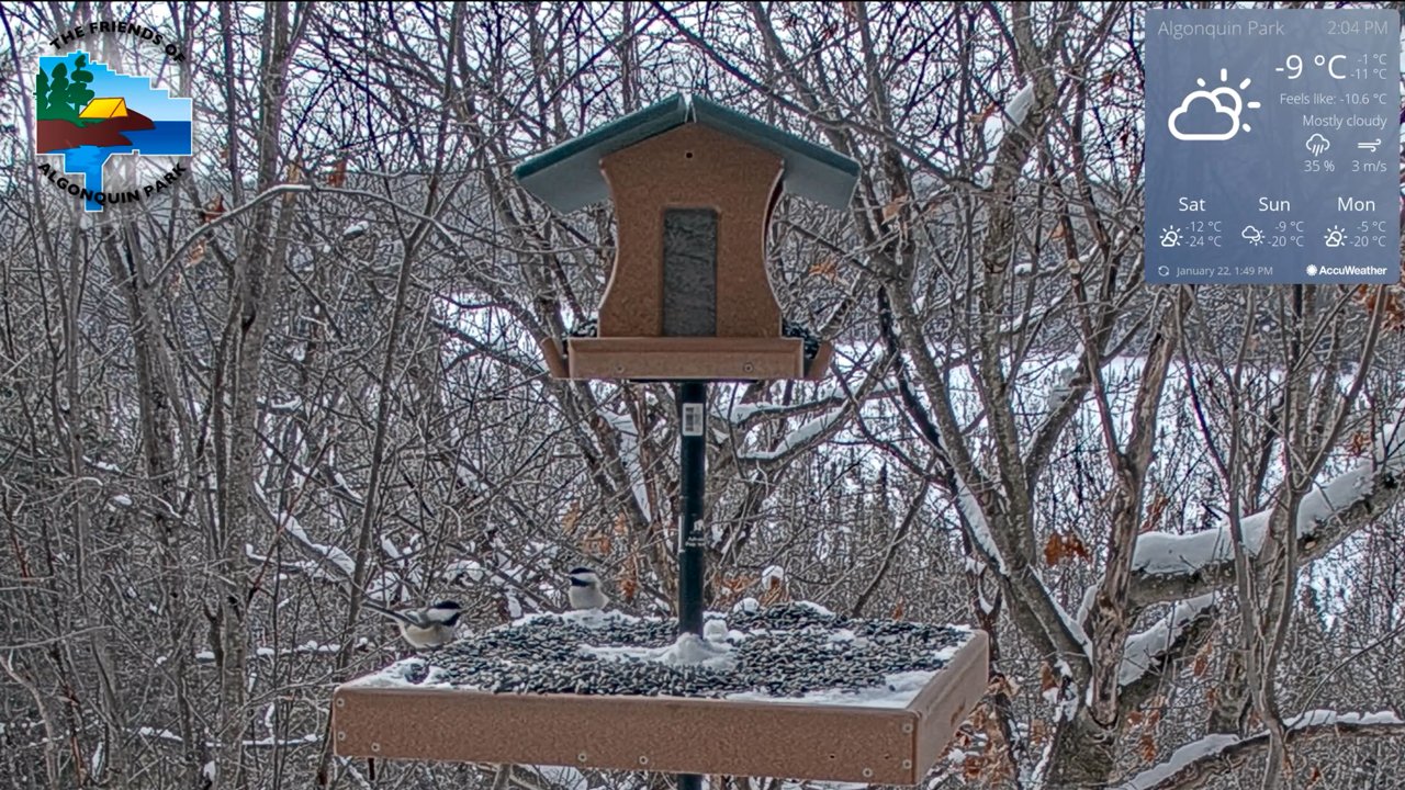 Broadcast is currently offline.