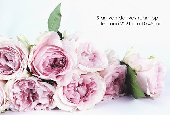 Broadcast is currently offline.