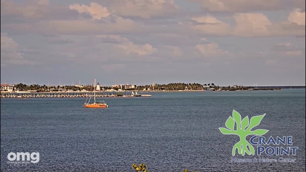 Broadcast is currently offline.