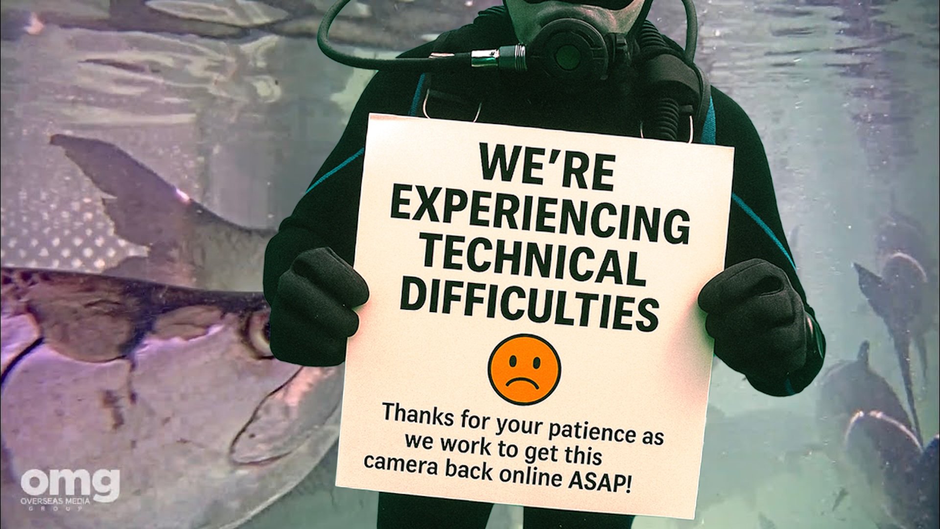 Broadcast is currently offline.