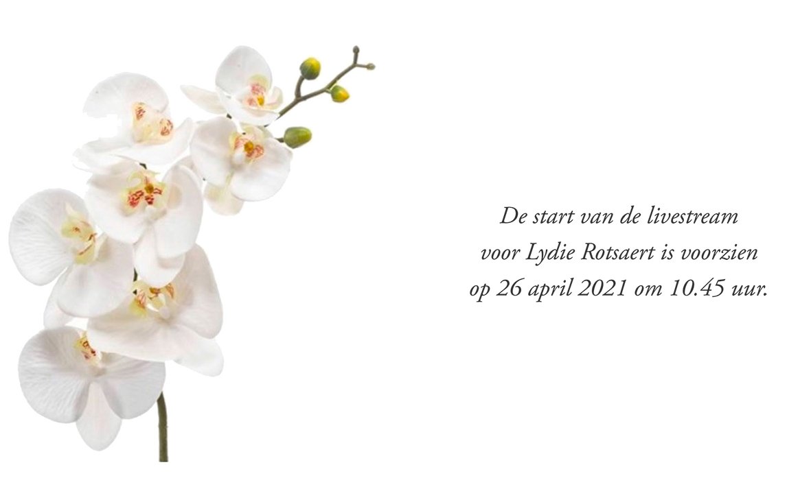 Broadcast is currently offline.