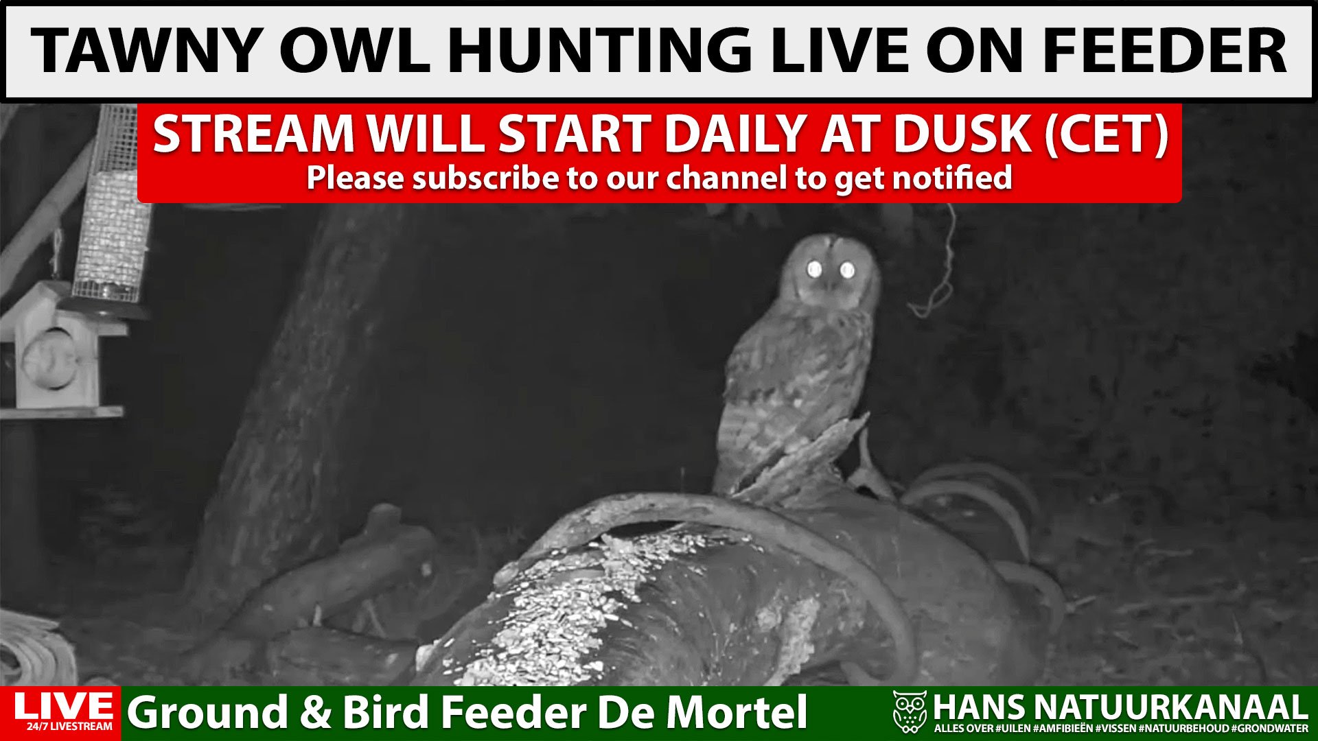 Broadcast is currently offline.